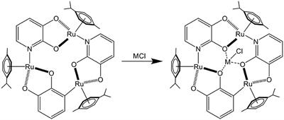 The Role of the Second Coordination Sphere in the Biological Activity of Arene Ruthenium Metalla-Assemblies